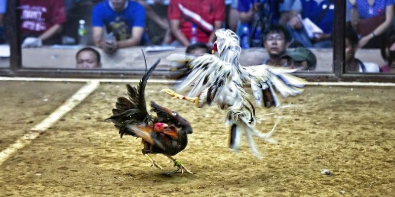 vin777 vin ﻿đăng nhập lô đề uy tín