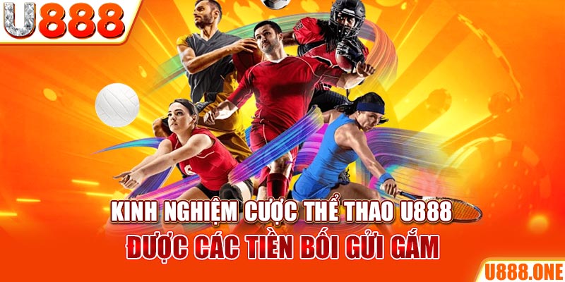 vin777 vin ÁT CHỦ BÀI GIÀNH LẤY ZHUANG NIUNIU ( XEM 3 LÁ )