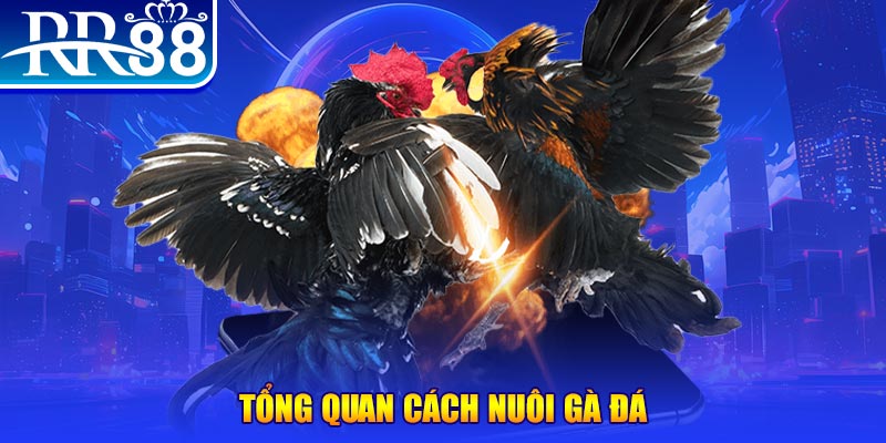vin777 vin xổ số thứ ba