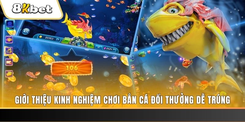 vin777 vin xổ số miền bắc hôm