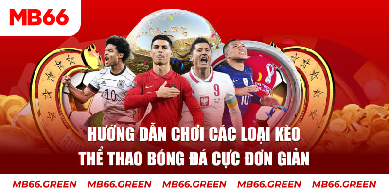 vin777 vin nỗ hủ là gì
