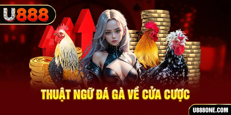 vin777 vin da ga 88