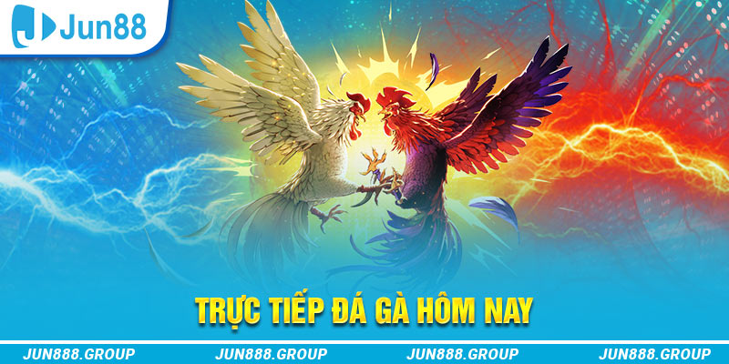 vin777 vin trực tiếp đá gà thomo
