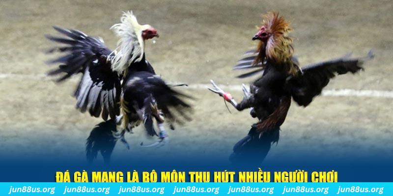 vin777 vin xổ số long an