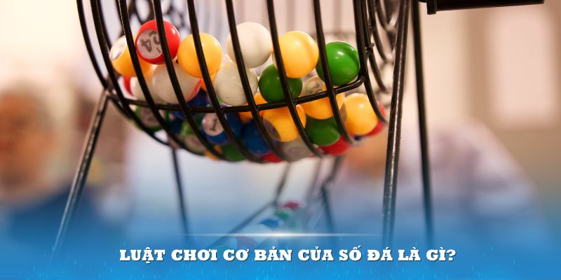 vin777 vin Đĩa màu ace