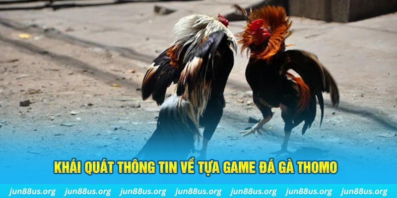 vin777 vin bản tình ca mùa đông
