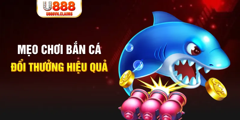 vin777 vin xổ số thứ năm hàng tuần