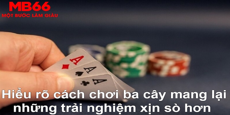 vin777 vin DB Trực Tuyến