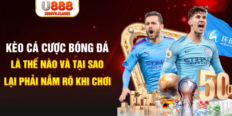 vin777 vin Xì tố
