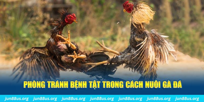 vin777 vin natural” trong baccarat nghĩa là gì？