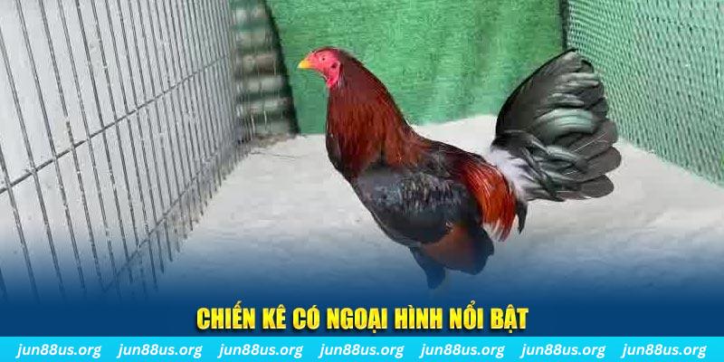 vin777 vin nhạc slot là gì